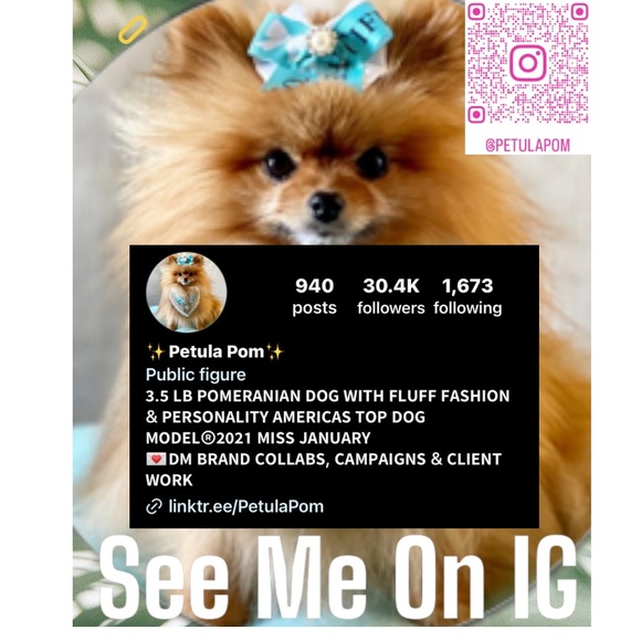 Follow my IG account💗 @petulapom - Picture 1 of 2